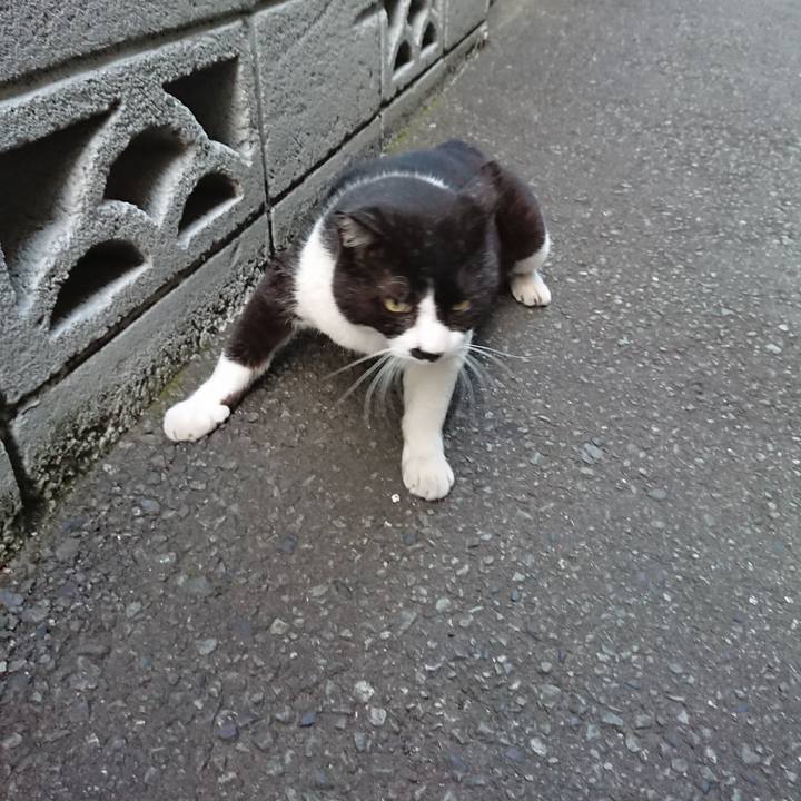 B376fe11 fc57 416b 87b7 57325f9ebd2c 1559816610311