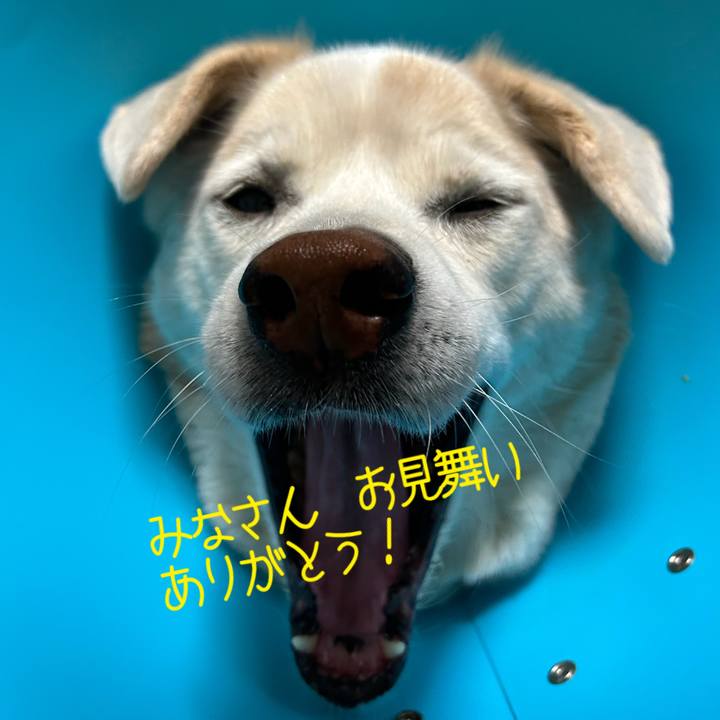 B37715be be92 457f 93aa aa5c29c14e7e 1737668519574