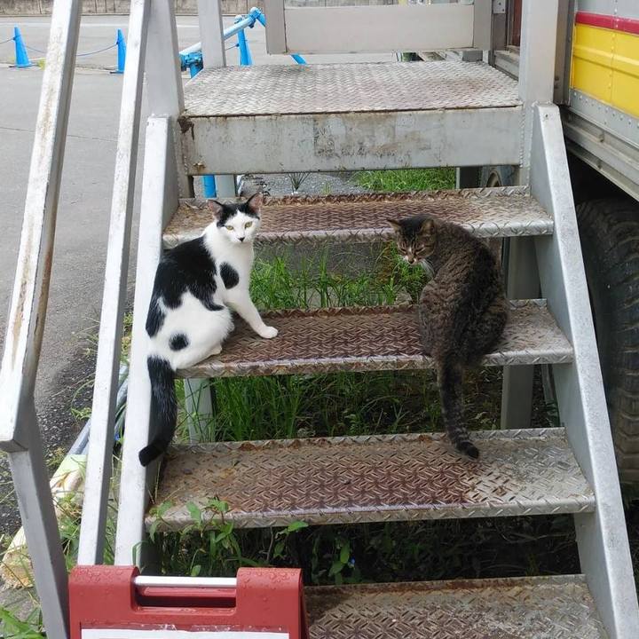 B3773f7e 510b 46a1 be5d f10df19c286a 1598919746187