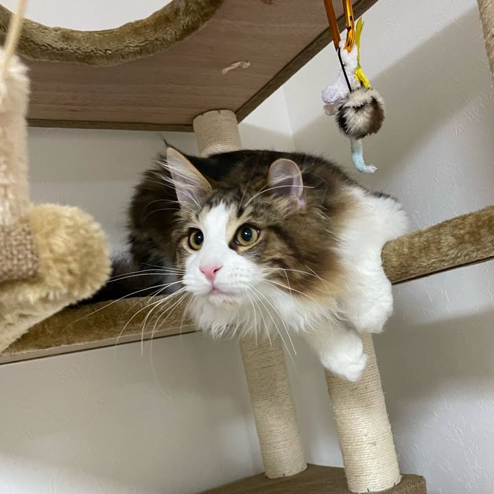 B3775329 c2d8 4122 8865 a5d9ad577b50 1639946761902