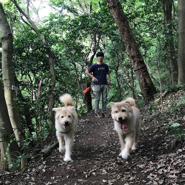 B377b44d 66e3 459f a7e5 39e73e9c6ebc 1537717226965