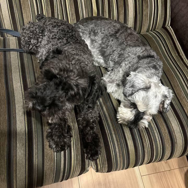 B377c8a7 57c6 4734 afeb 5790440ba691 1700655252224