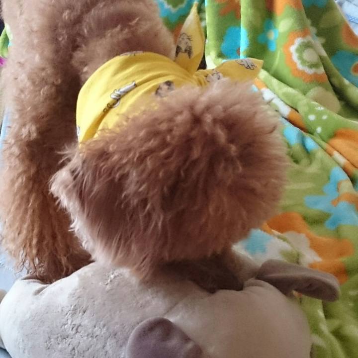 B377cb3c 9a56 4b77 ac60 5a4f02aca707 1533000089086