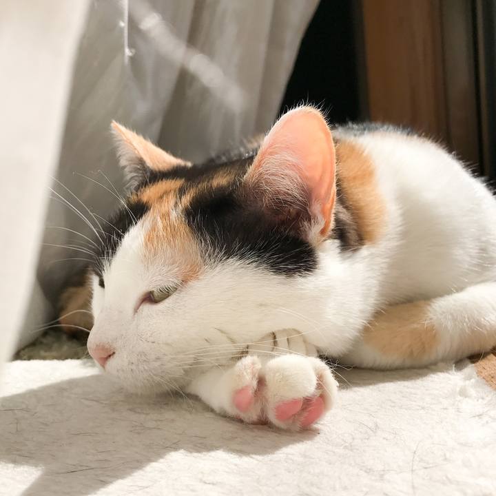 B377d32d d271 41d8 88ea 0e3660661de7 1524407135495