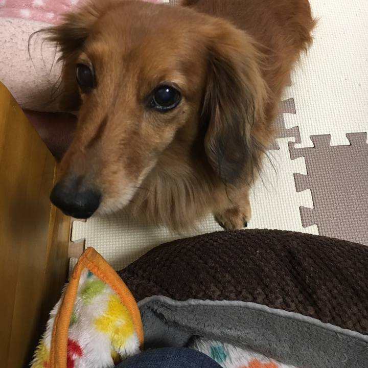 B377d61e bfe5 4d87 8caf 302bcf720df1 1519193425464