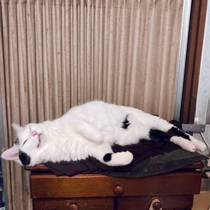 B377f32b 0982 48c5 8582 9d09055d59ec 1663472220409