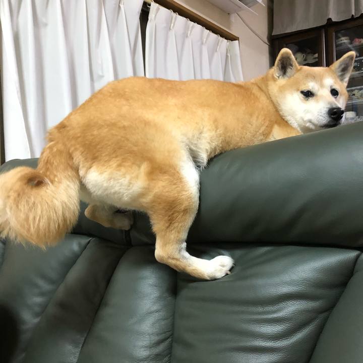 B37811ed bc6e 4f8b a8b5 855f1c691477 1583416708162