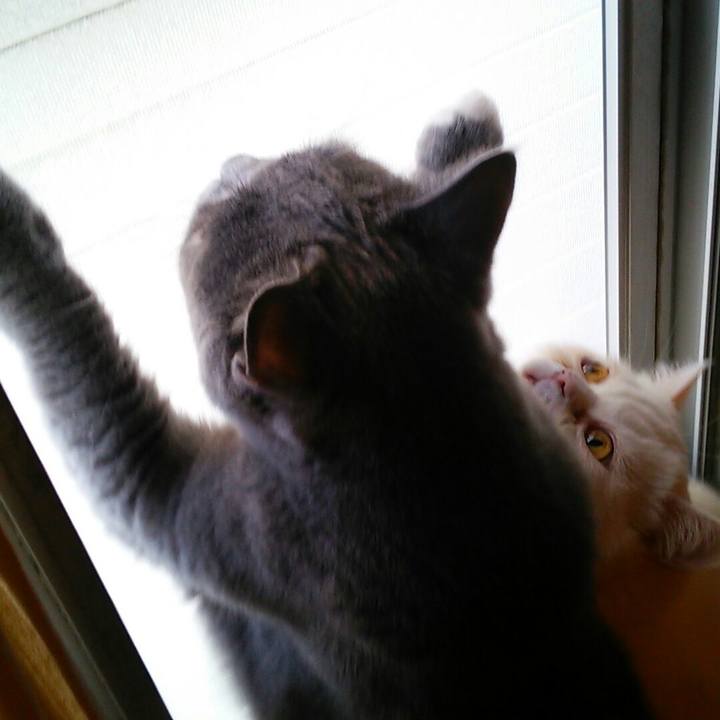 B3782b93 5f2b 497d 944b 511fa6669ccb 1558826198012