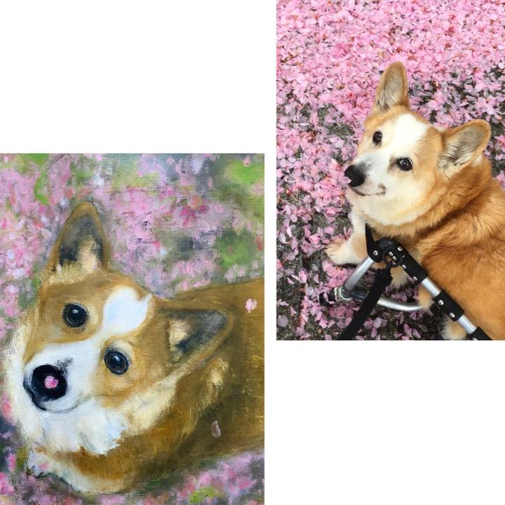 B3783fa9 4302 43e0 8afe 6cdd0b0d7ab2 1571484672389