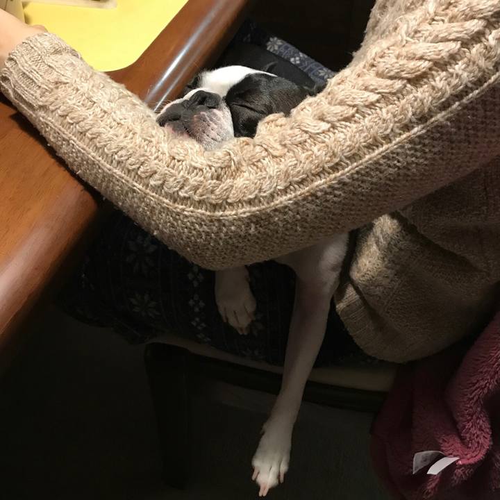 B378418b e67c 4238 b6ec bfd880d8c98f 1609158069777