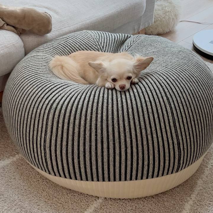 B3784785 4516 483b bfcc 57ade4050445 1690889655638