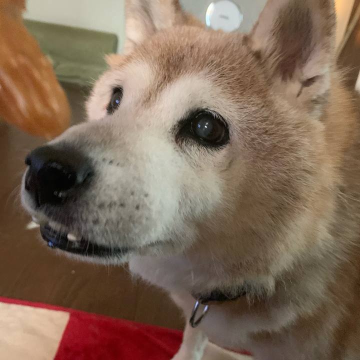 B3784a02 bf03 4bb3 a647 35b5fd396f1f 1656630262936