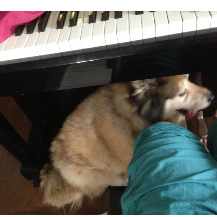 B3788246 6872 49c6 a6d5 45717ee3b524 1560865246489