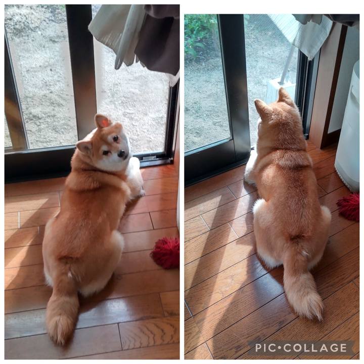 B378a678 4abe 4873 8d67 59a043242120 1762147254198