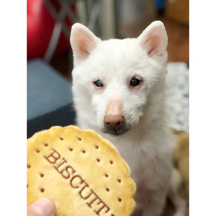 B378cffc e91f 4d6d a37f 7e9ad153dd40 1613299296727