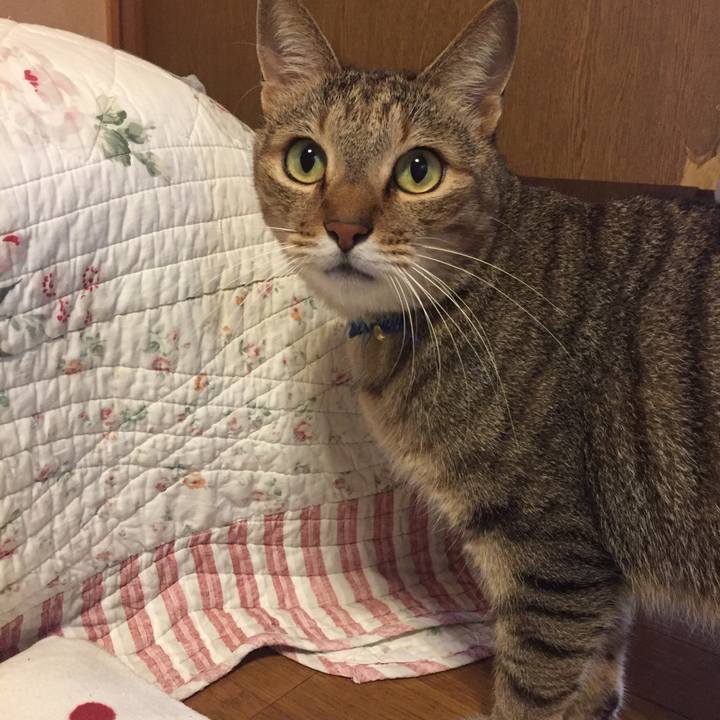 B379009f fe39 4c34 be5f 8f89177c30bf 1508712155898