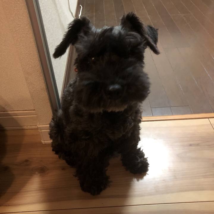 B3790f46 b275 4634 8330 0150697fa5f5 1561086281790