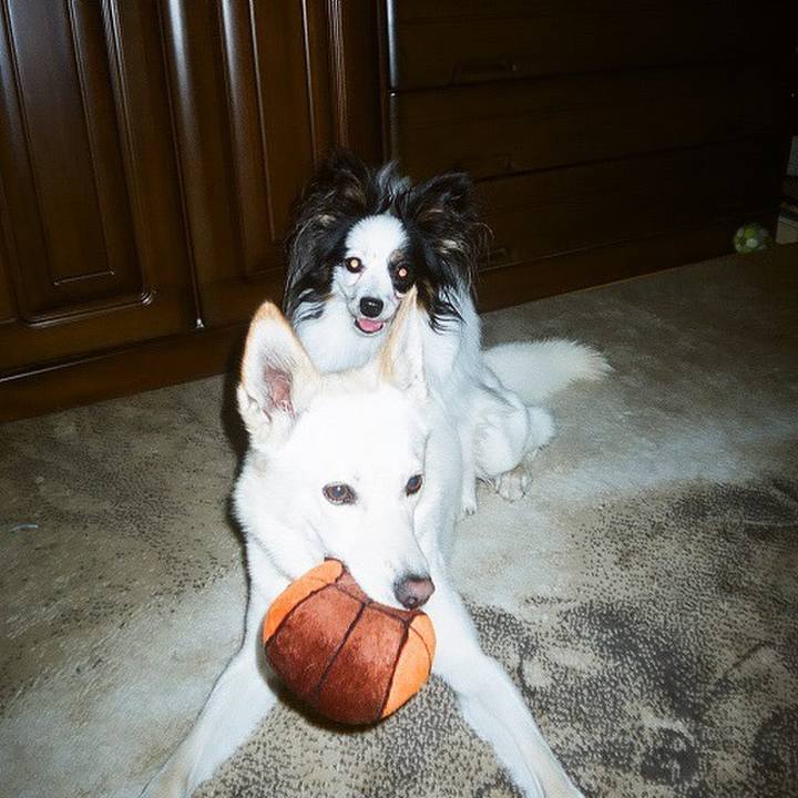 B3794528 d10c 4b0e bc04 774b9453ac5e 1597635854246