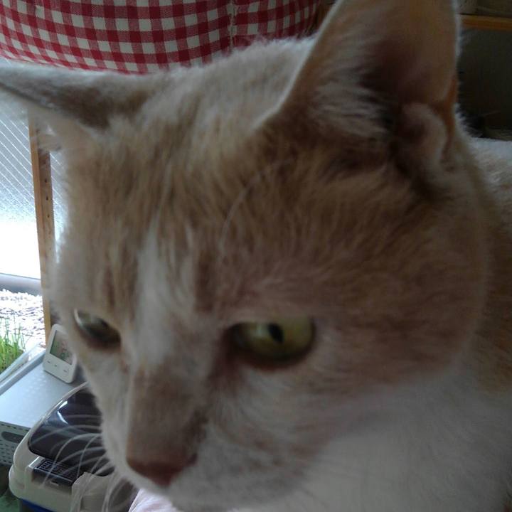 B37952c1 ab95 4dda ad02 832db660a3e7 1568289210446