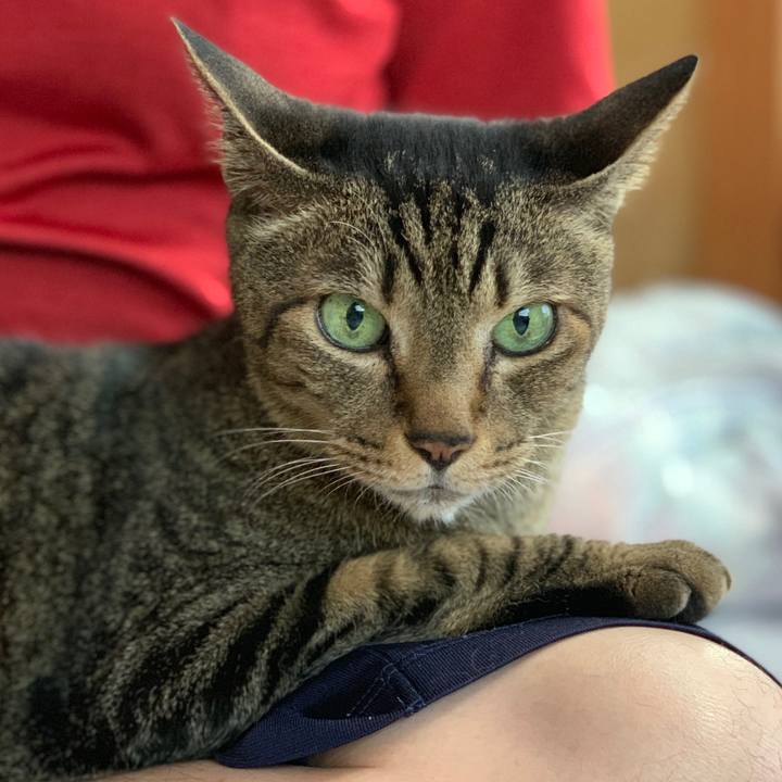 B3795b94 db69 4de4 af41 791f0168e449 1561680906502