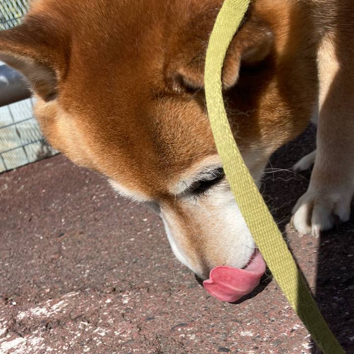 B37992be 5038 4046 aef2 7dba9dbdf426 1676637728284