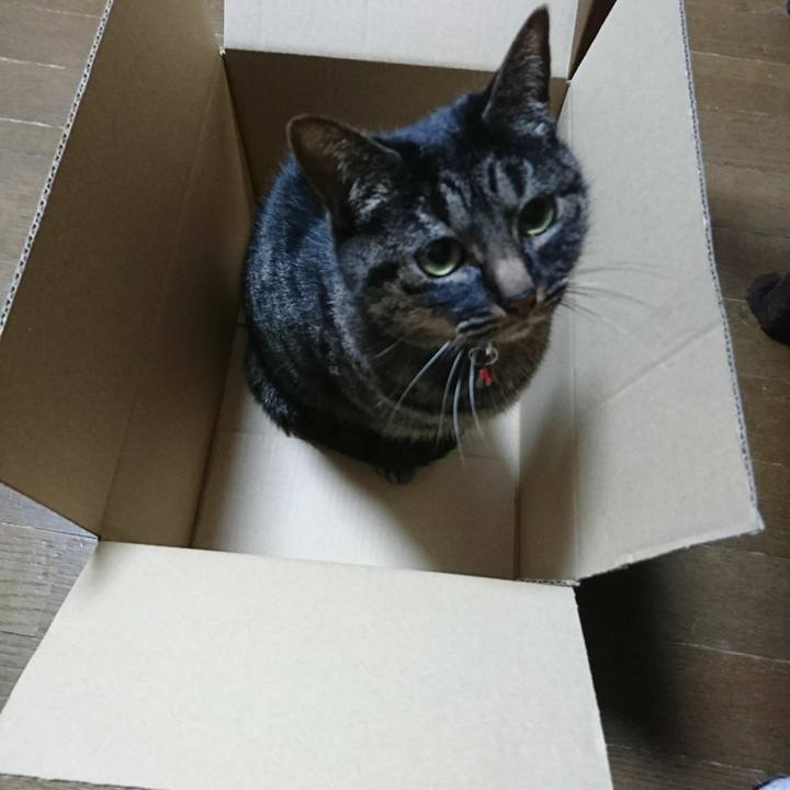 B379973d 5f6f 4813 afa2 abb46f3d3712 1515333969350