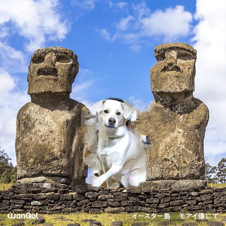 B379ab69 5e2b 4c40 b2b6 ef4e6175927b 1615369050021