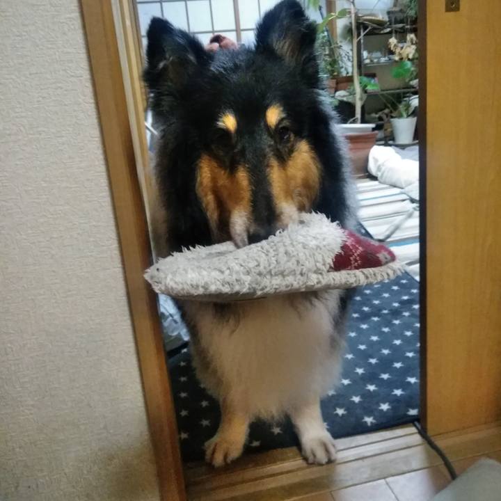 B37a4054 9a9a 40d0 8cee 1a5ebef7e8f0 1528721844493