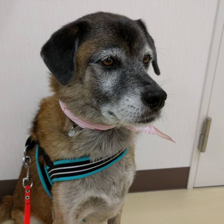 B37a4aba dd02 479e 866b d649cb2b79f6 1537945874651