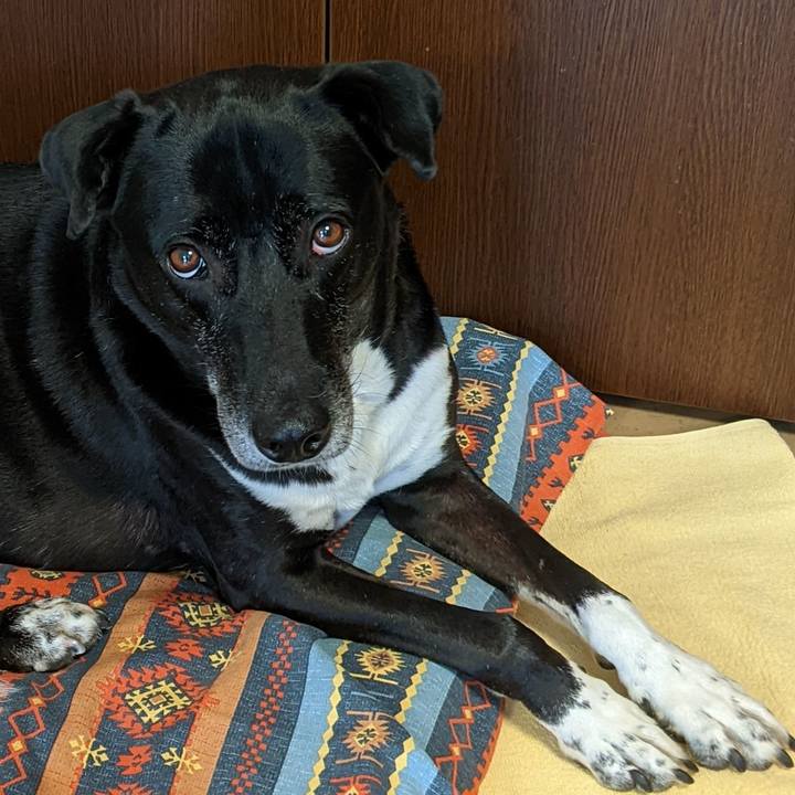 B37a5d2d 45ca 499a afae 1a2cbc1702b0 1697856943585