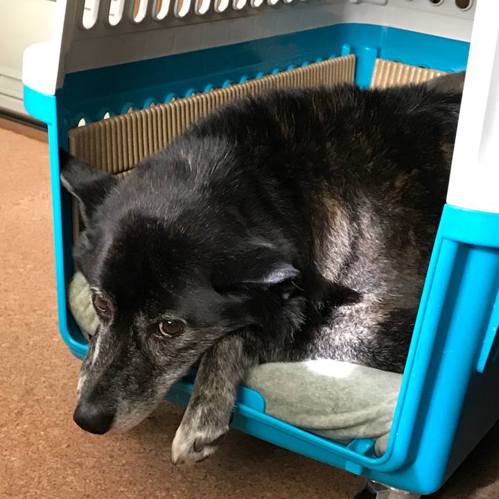 B37ac5a0 e64d 4415 9791 c3c0a1512d84 1515382226730