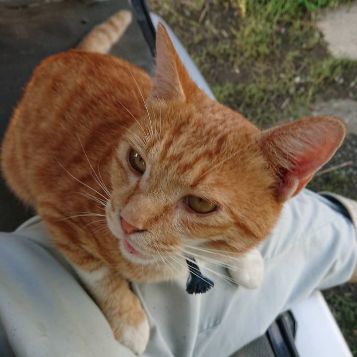 B37ac760 0f67 422a b4db 094f80f0b08a 1567237181302