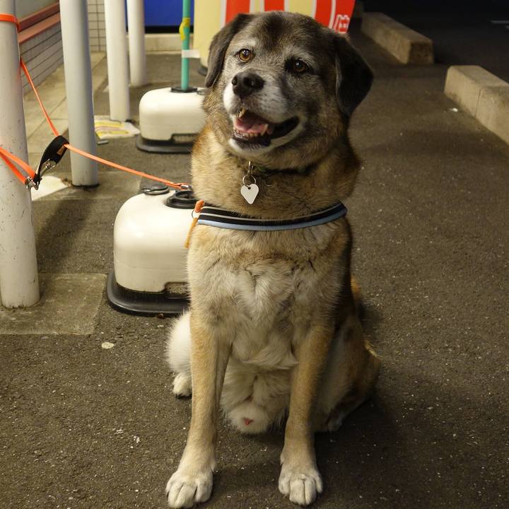 B37ad2dd 14ac 4348 99a7 758116344625 1636591947686