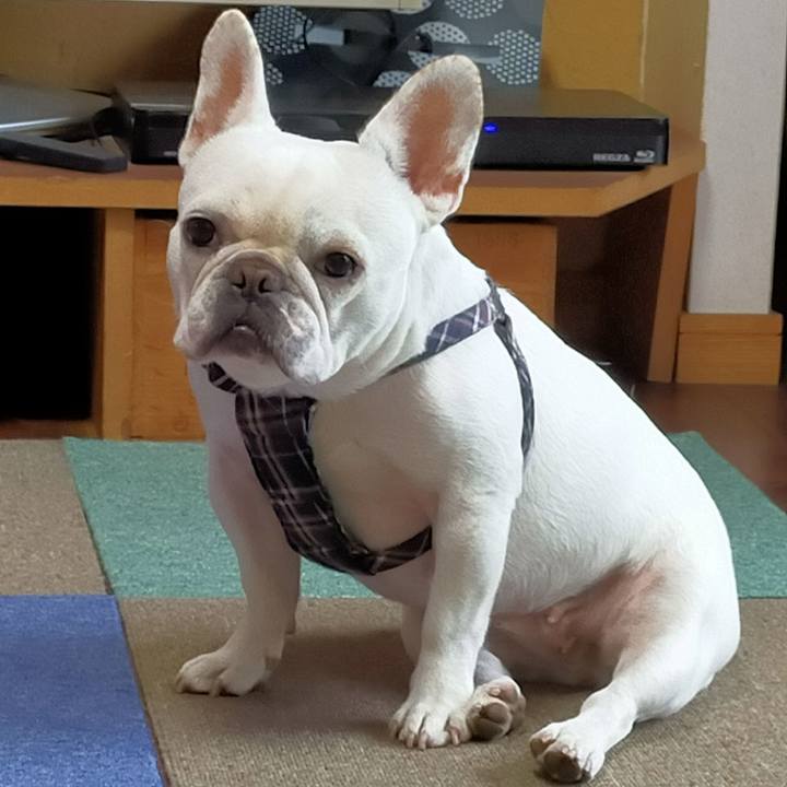 B37aedce 1a1d 45ca 8ed4 a78d57e4b455 1651358476537