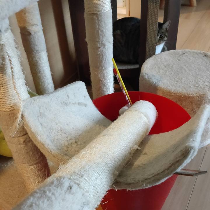 B37b8eae 9698 46e1 ab17 98b443ed9652 1654665360740