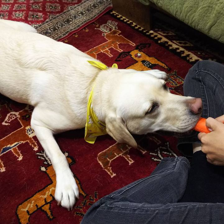 B37b8f7c d7b2 4550 b5a1 53fc5fe56d34 1543491240708