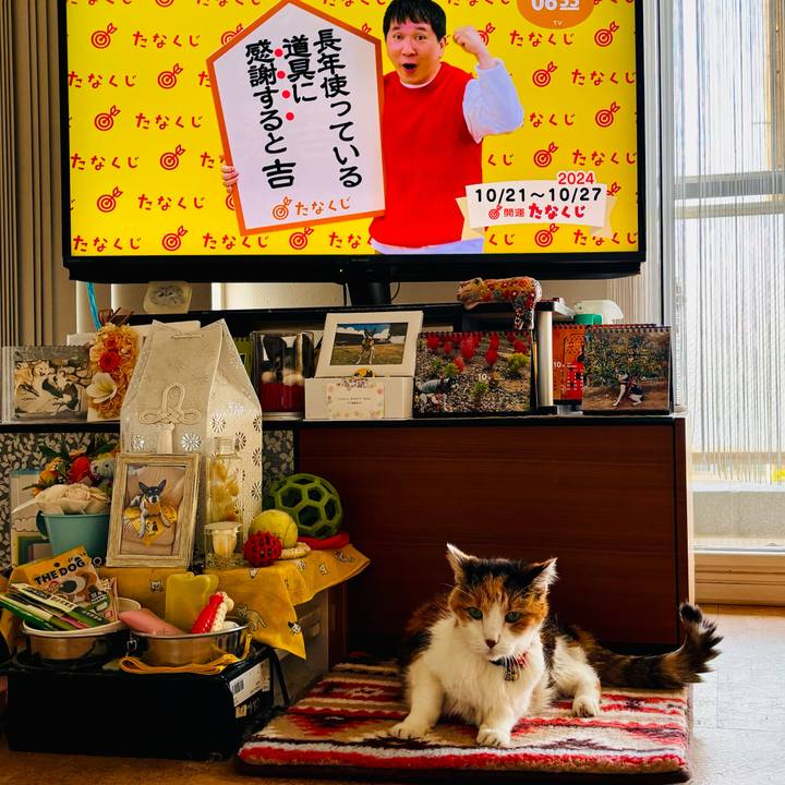 B37b93e5 6bef 4478 b639 1847deeb50f3 1729462217224