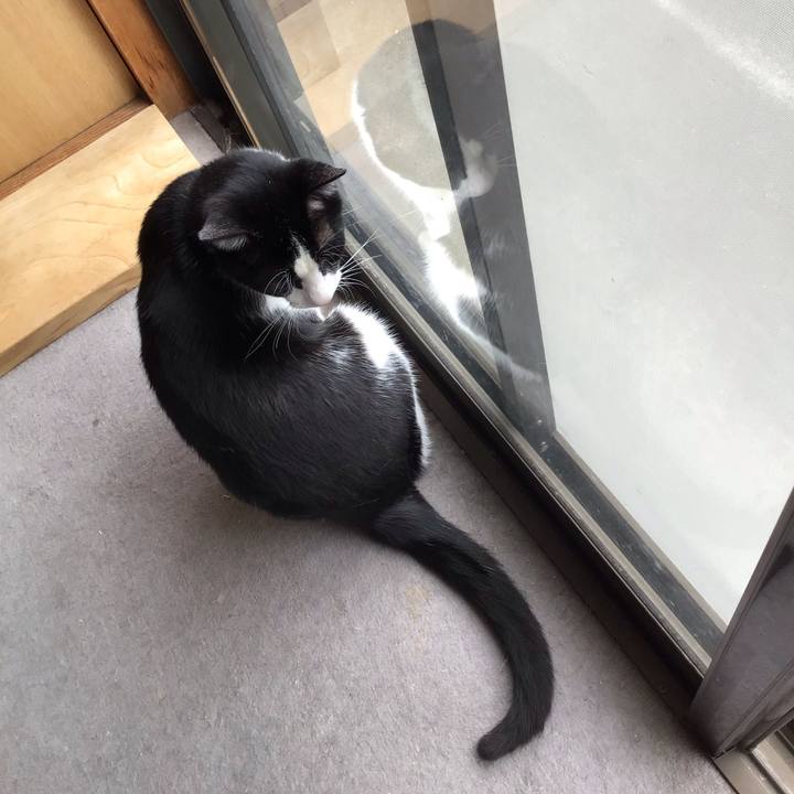 B37b9f6a 8c70 49de 87dd 3647188c1258 1650773882986