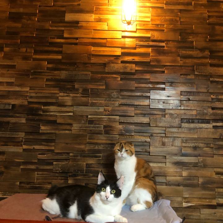 B37bd0dd 1f6b 4037 8d61 e9fadff9f6da 1631373965925