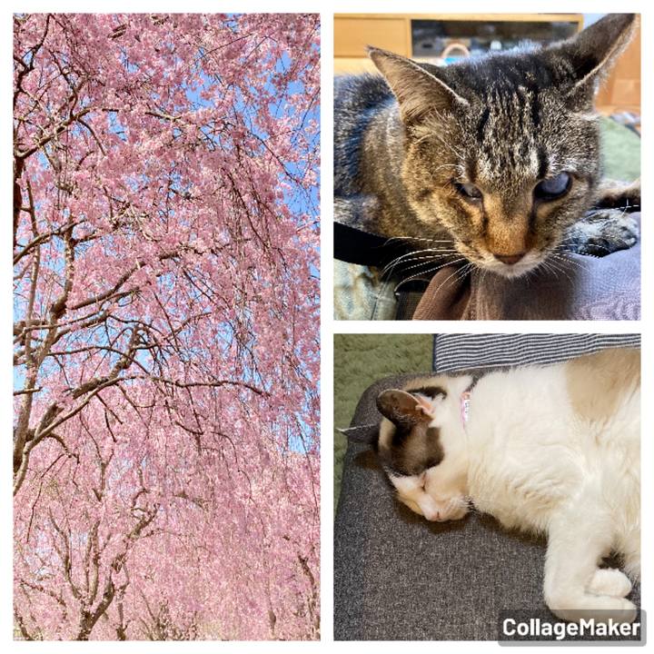 B37bd960 ac44 4757 98a1 c575f293186d 1649586565103