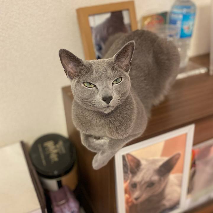 B37be3e6 a5df 4df1 80cf 325a4bfdfa5d 1681009305779