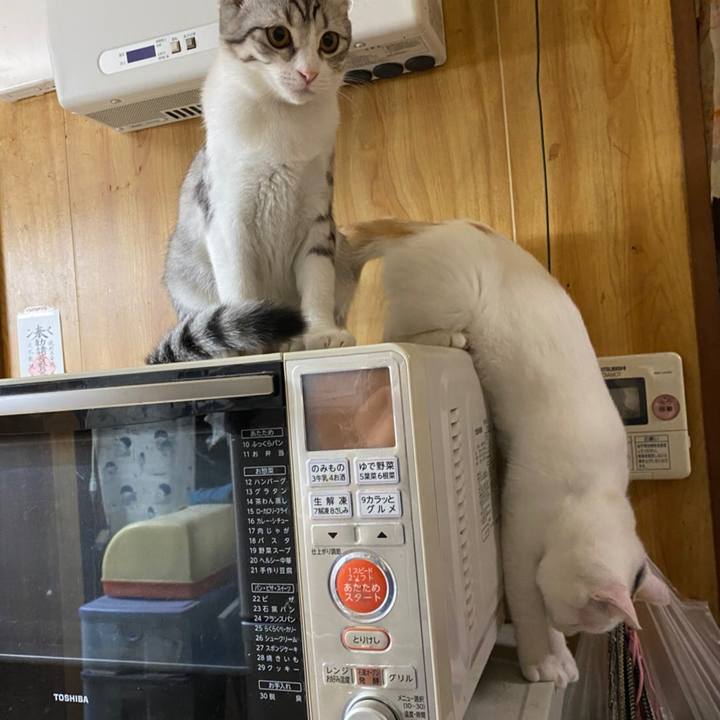 B37bf7ad 07d8 4b2c 9216 7bc8795dac78 1602454841639