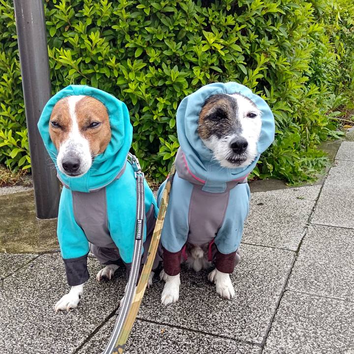 B37c36ac b3a3 42da 85e9 6a849e1d6f8d 1684796909569