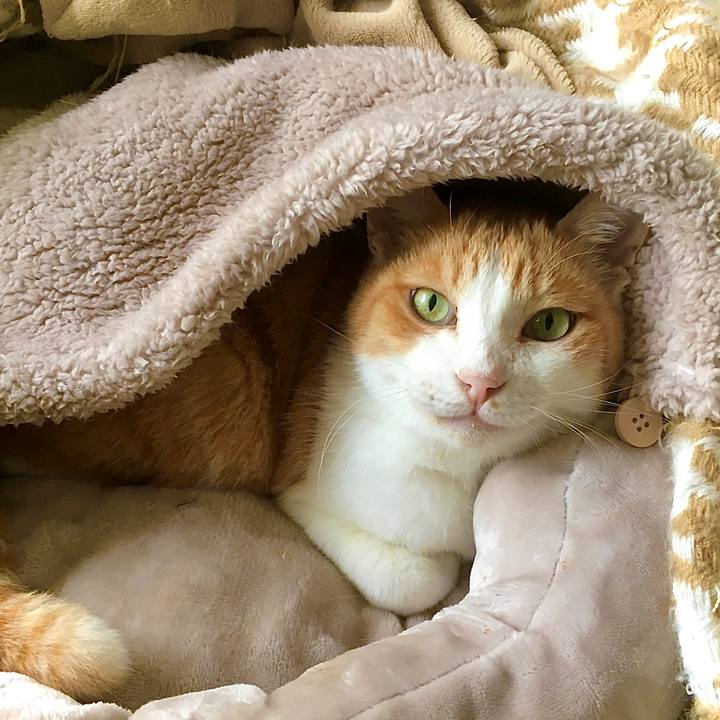 B37c45b9 0c71 4d21 ac07 a61c65999b4c 1603077255332