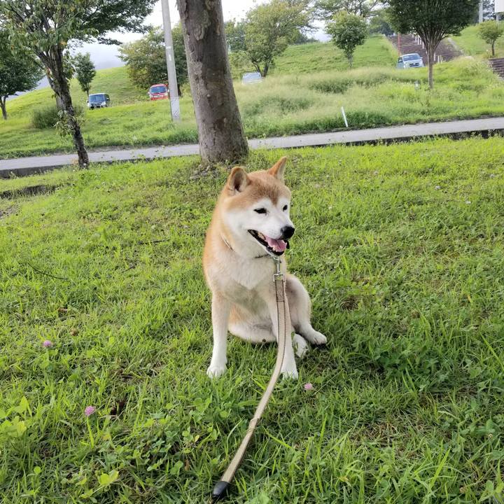 B37c5ea3 caa7 4fad ac7b cde86ecac52e 1661069050434