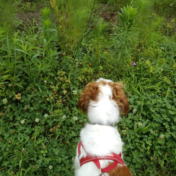 B37c7a2f 5429 469d b3cf 26f05fff9cbd 1530783864585