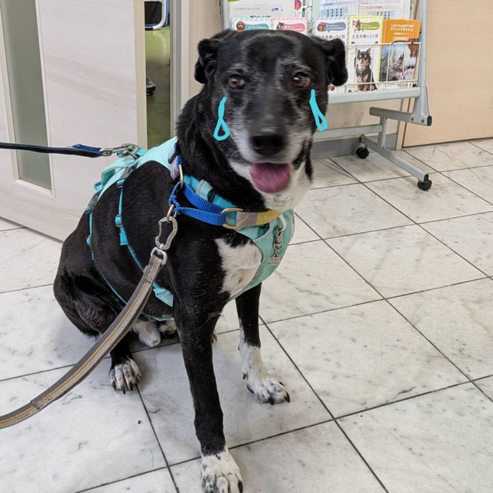 B37c9526 9acc 4d2c a239 31ecfad6425c 1772763491713