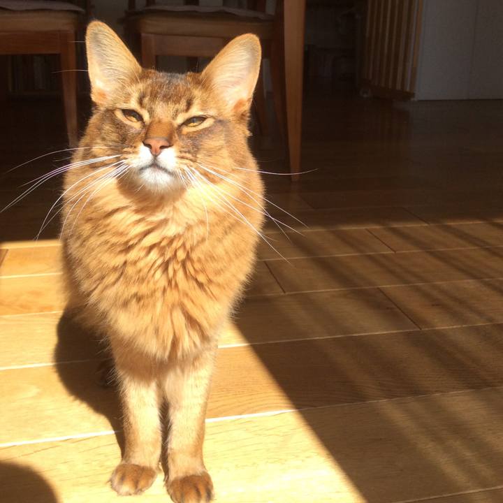 B37c9791 6484 4713 a312 cd53f7628b14 1614128023220