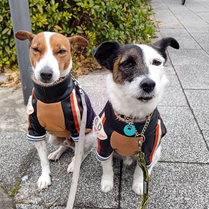 B37cb782 c815 4854 972e 3ccfad6874af 1673910997819