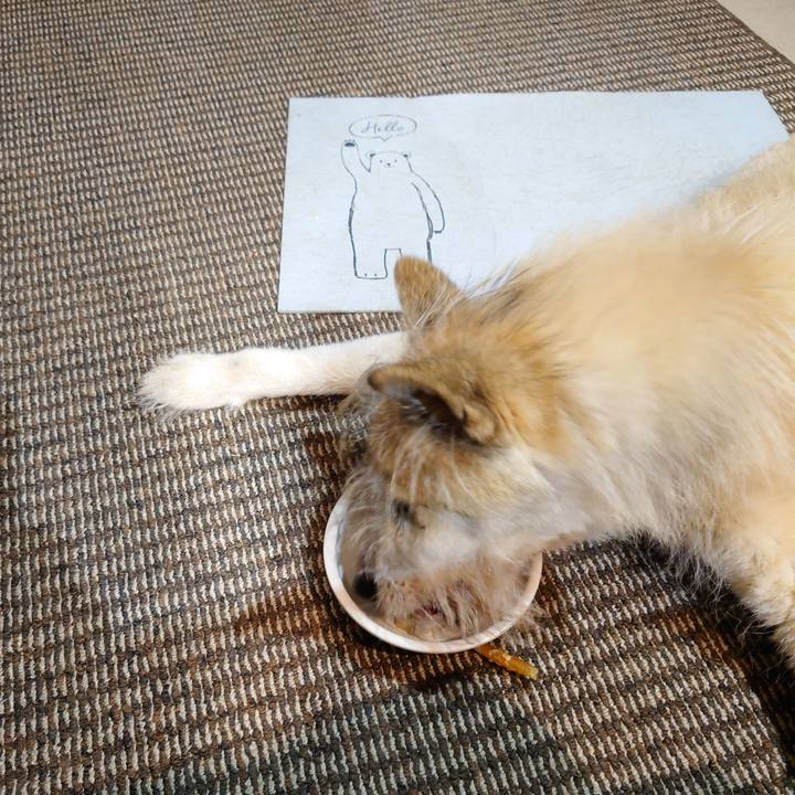 B37cd227 591f 43dc b245 14f74e7239a7 1607863654966